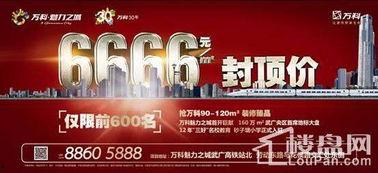 万科城爆料最新消息,揭秘神秘项目进展与未来规划 第3张 万科城爆料最新消息,揭秘神秘项目进展与未来规划 第3张